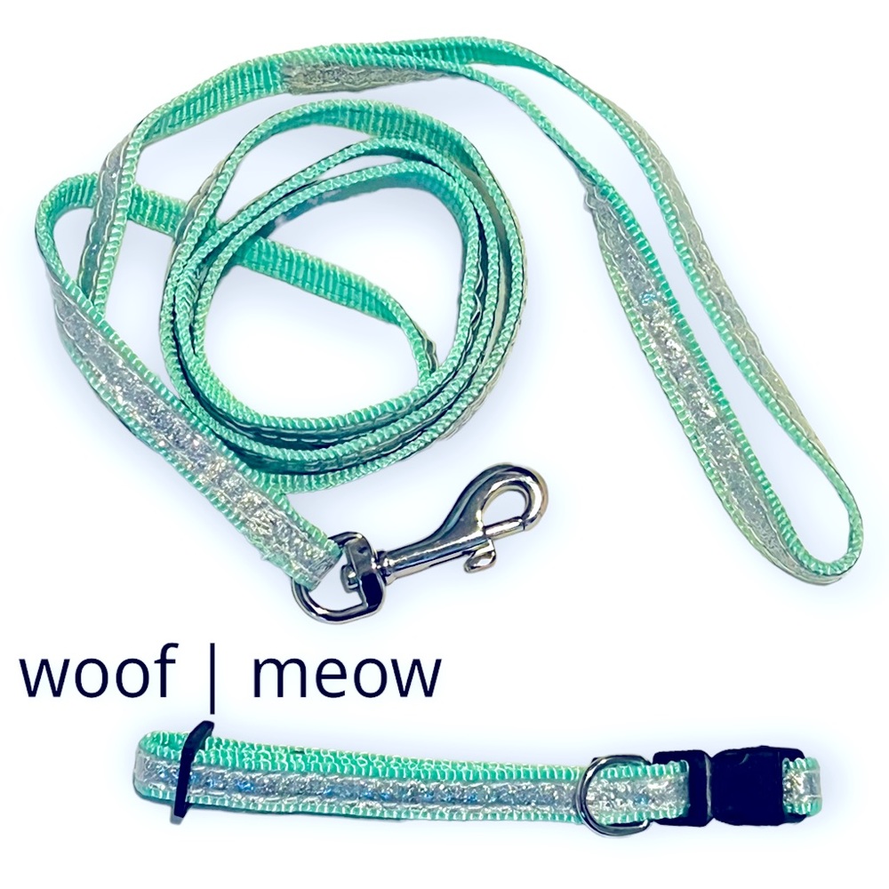 Pet | 4’ Leash + Collar Set | Aqua & Silver Glitter | NWOT | Size XS